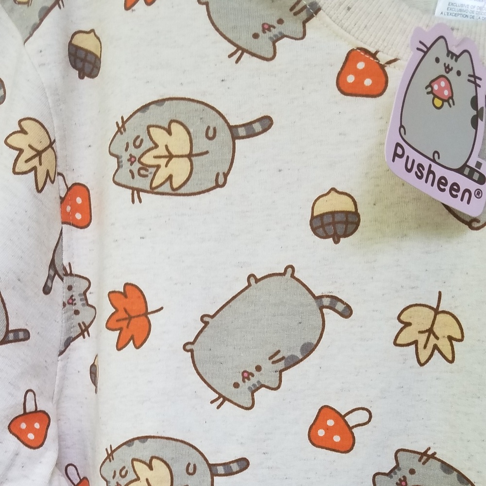 NWT Light Gray Pusheen Cat Fall-themed Sweatshirt - Picture 3 of 8